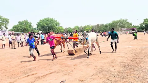 హోరాహ