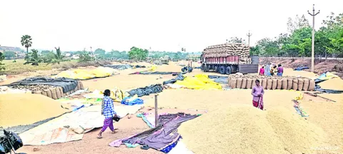 పట్టా