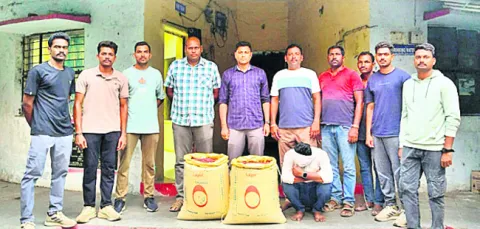 నకిలీ పత్తి విత్తనాలు పట్టివేత