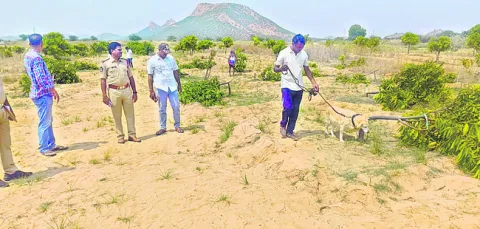చర్చి