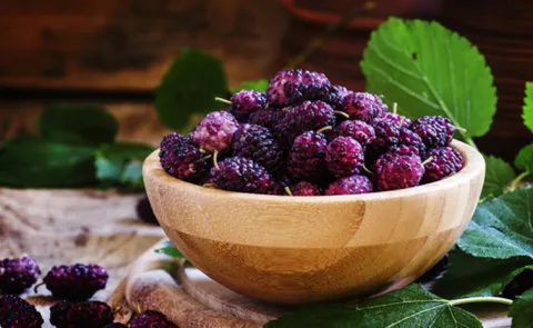 Nutrition Facts and Health Benefits Mulberry Juice