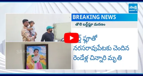 Birdflu Death In Andhra Pradesh