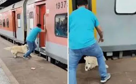 Man Rushing To Catch His Train With His Dog In Tow
