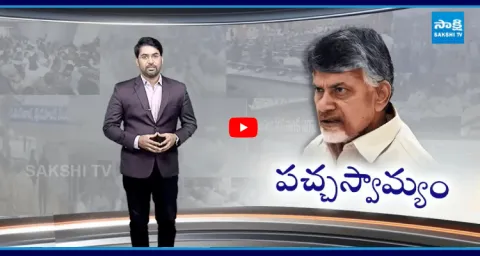 Magazine Story On Chandrababu Conspiracy Politics On Vishaka Mayor Seat
