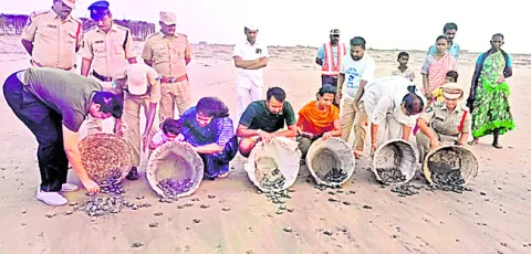 అద్భుతం.. హంసలదీవి సాగరతీరం 