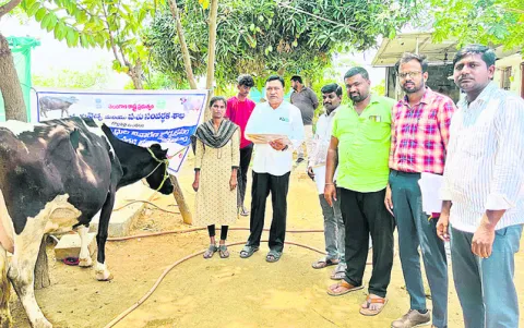ఈత సర