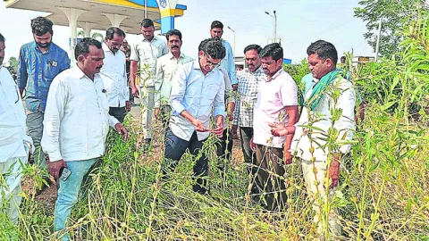 నష్టపోయిన రైతులను ఆదుకోవాలి