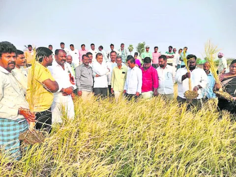 వడగండ్ల బాధితులకు అండగా ఉంటాం

