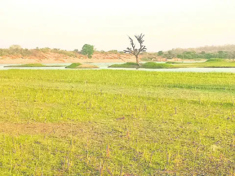 శిఖం 