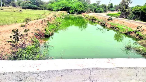 ఎన్నే
