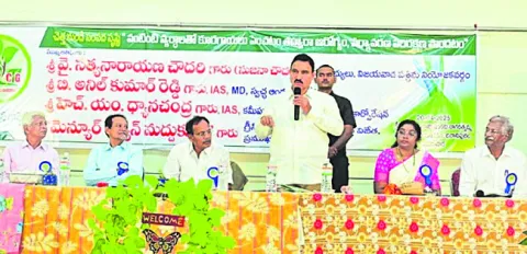 టెర్రస్‌ గార్డెన్‌ పెంపకంతో ఆరోగ్యకరమైన పంట 