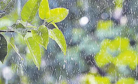 Light Rain in Telangana for Two Days: IMD