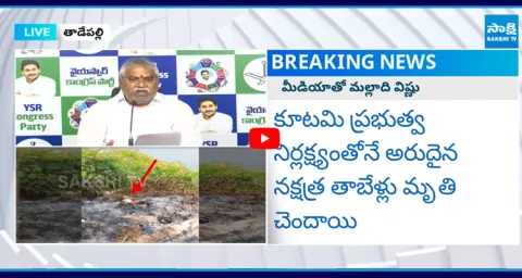 Malladi Vishnu Comments On AP Temple Incidents6