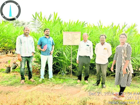 లాభాల