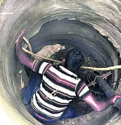 అగ్నిమాపక సిబ్బంది ఔదార్యం 