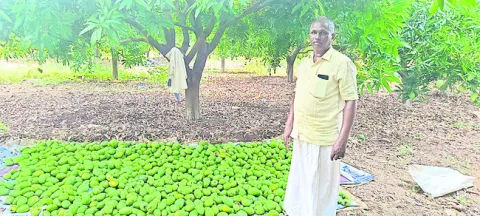 గాలి, వాన బీభత్సం.. 
