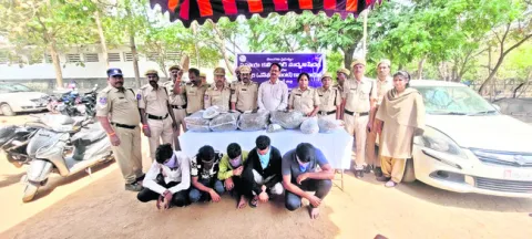 30 కిలోల గంజాయి పట్టివేత