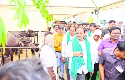 ఆకట్టుకున్న రైతు మహోత్సవం స్టాల్స్‌