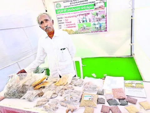 ఆకట్టుకున్న రైతు దామోదర్‌రెడ్డి స్టాల్‌●