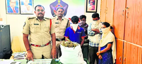 గంజాయి కేసులో నలుగురి అరెస్ట్‌ 
