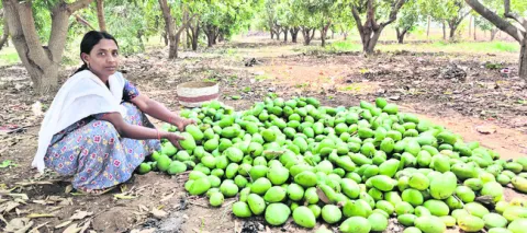 ఈదురు గాలుల వర్షం 