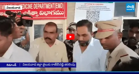 14 Days Remand To Raj Kasireddy Over AP Liquor Scam 