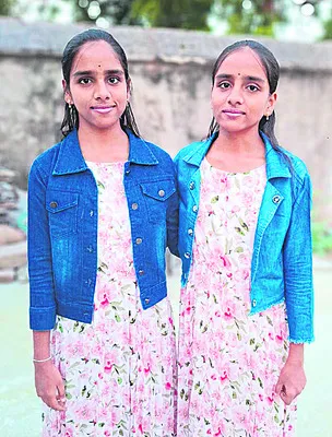 మెరిస