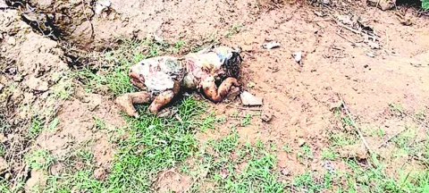 తాళ్లపూడిలో మృత శిశువు కలకలం 
