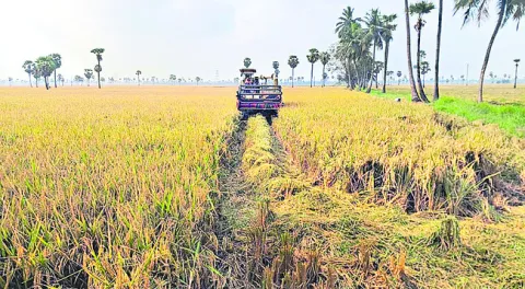 కోతకొ