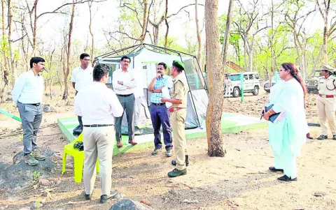 అడవులను సంరక్షించాలి
