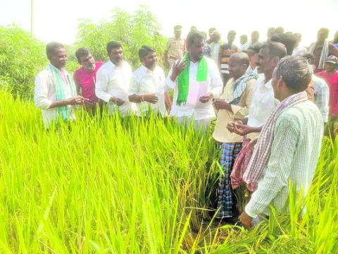 జవాబుదారీగా పనిచేస్తున్నా
