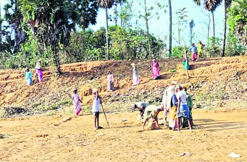 గిట్ట