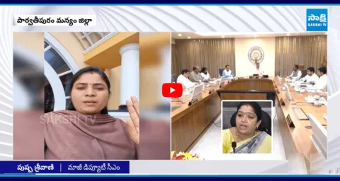 Pushpa Sreevani Comments On Minister Sandhya Rani