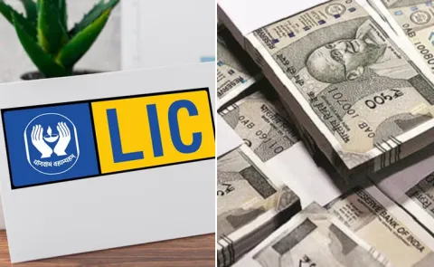 Invest Rs 121 Per Day Get 27 Lakh Do You Know About LIC Kanyadan Policy
