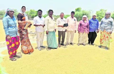 తడిసిన ధాన్యం ప్రభుత్వమే కొనుగోలు చేయాలి 