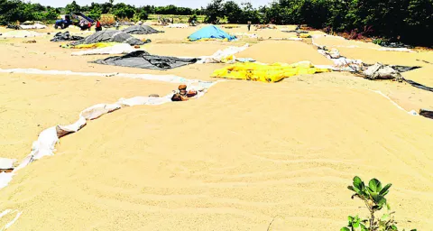 వాన ‘