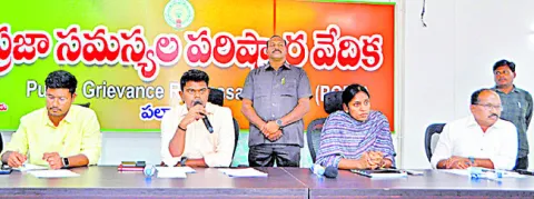 ‘ప్రభుత్వ’ విద్యార్థులు గొప్పగా రాణించారు 