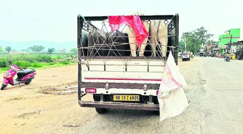 భారీగ