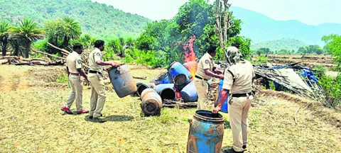 ఏఓబీలో ఎకై ్సజ్‌ దాడులు