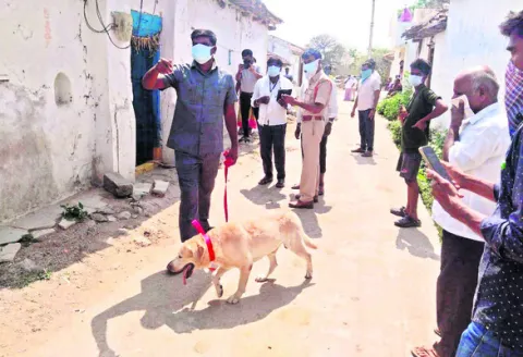లింగంపేటలో మహిళ దారుణ హత్య 
