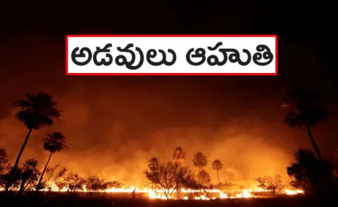 Rising Forest Fires in India full details