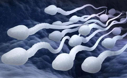 US City to Host World's First Sperm Race