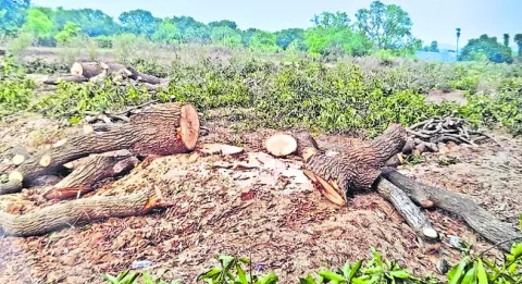 హద్దు
