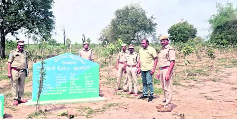 అడవులను కాపాడుకుందాం