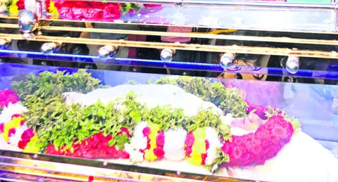 భరత్‌