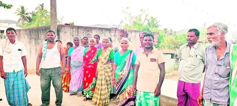 దళితు