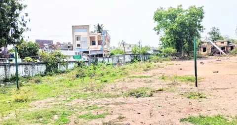 క్రీడ