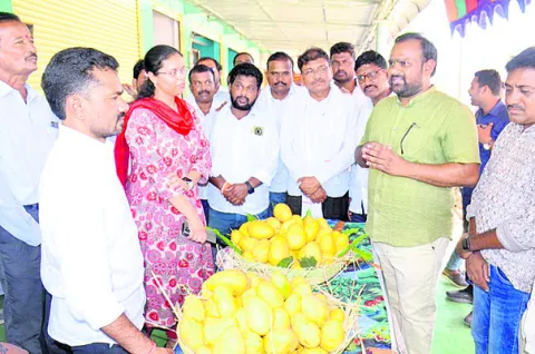 సేంద్రియ మామిడి పండ్లతో ఆరోగ్యం