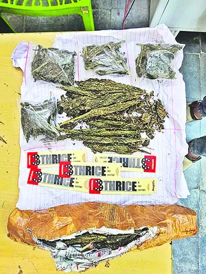 గంజాయ