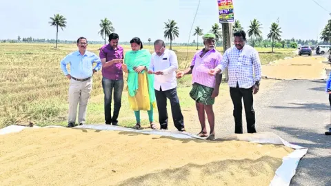 ధాన్యం కొనుగోలు వేగిరపర్చాలి 